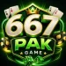 667Pak Game