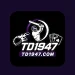 TD1947 Game